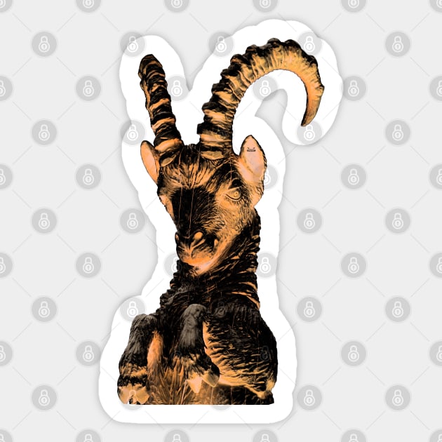 Capricorn / Swiss Artwork Photography Sticker by RaphaelWolf